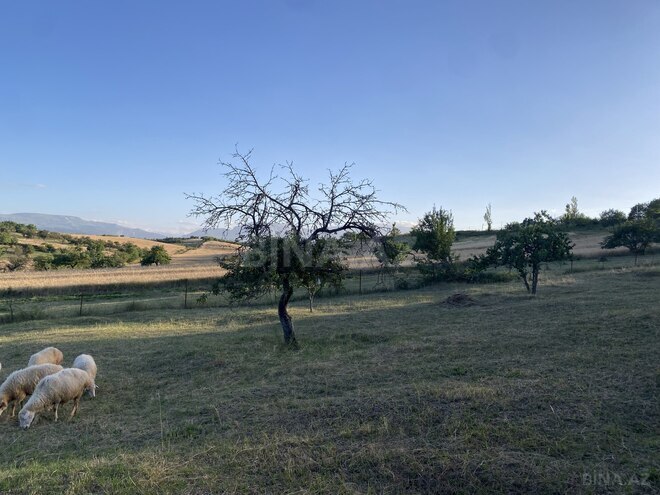 Продаётся  участок 27 сот, photo 5 from 14