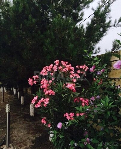 Продаётся 4-комн. дом/дача 120 м², Набрань р., photo 11 from 20