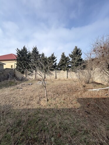 Продаётся  участок 7 сот, пос. Шувеляны, photo 7 from 21