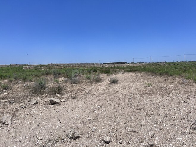 Satılır  torpaq 12 sot, Türkan q., photo 9 from 11