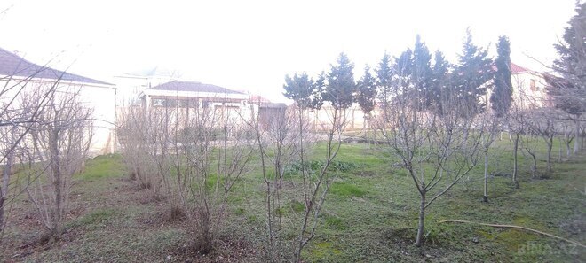 Продаётся  участок 14 сот, пос. Мамедли, photo 16 from 32