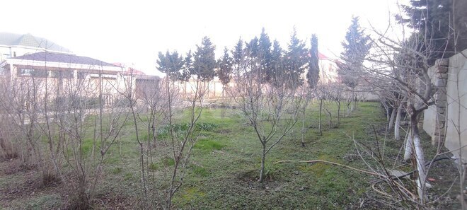 Продаётся  участок 14 сот, пос. Мамедли, photo 15 from 32