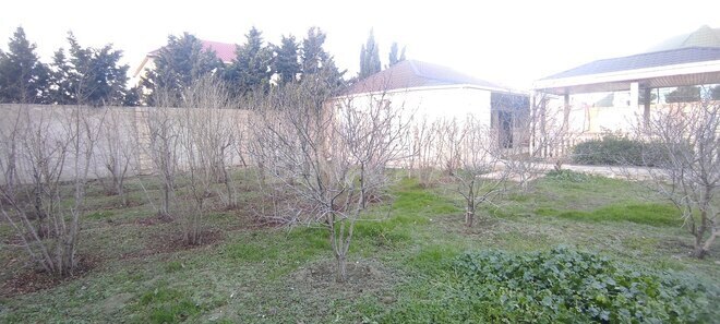 Продаётся  участок 14 сот, пос. Мамедли, photo 21 from 32