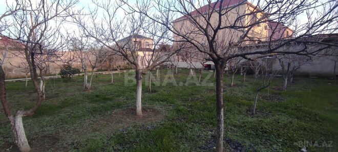 Продаётся  участок 14 сот, пос. Мамедли, photo 24 from 32