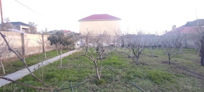 Продаётся  участок 14 сот, пос. Мамедли, photo 8 from 32