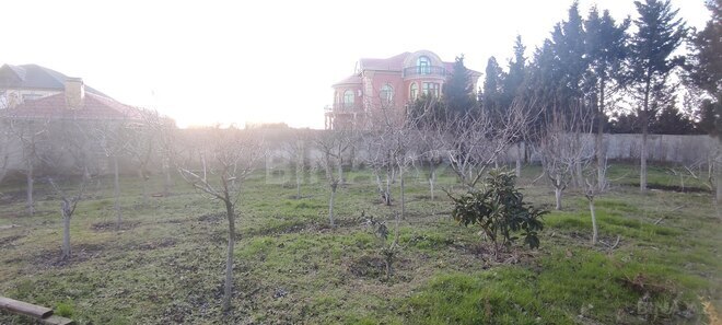 Продаётся  участок 14 сот, пос. Мамедли, photo 11 from 32