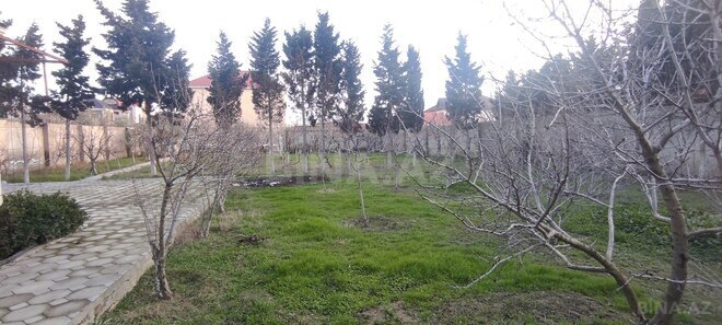 Продаётся  участок 14 сот, пос. Мамедли, photo 14 from 32