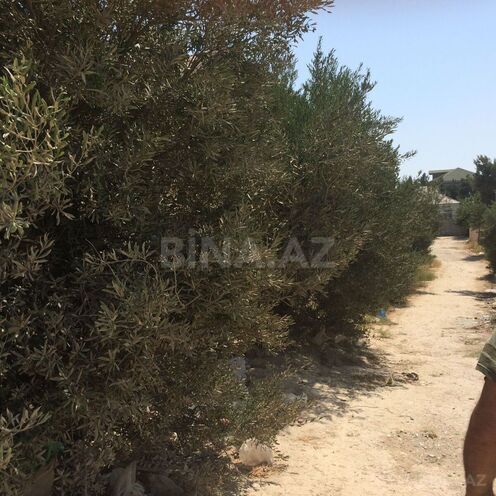 Продаётся  участок 6 сот, пос. Рамана, photo 4 from 23