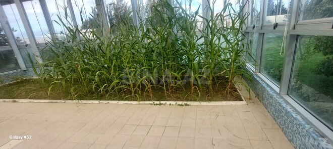 Продаётся 12-комн. дом/дача 400 м², пос. Новханы, photo 16 from 22