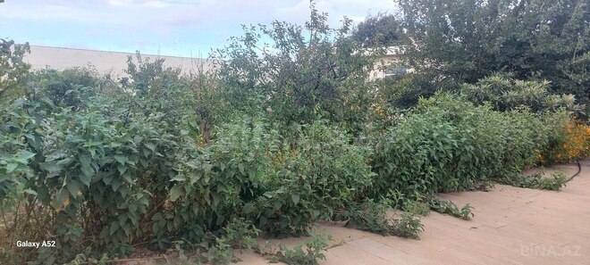 Продаётся 12-комн. дом/дача 400 м², пос. Новханы, photo 11 from 22