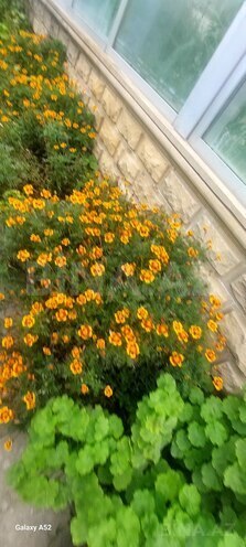 Продаётся 12-комн. дом/дача 400 м², пос. Новханы, photo 14 from 22