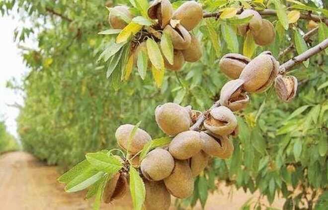 Продаётся  участок 1 300 сот, photo 7 from 10