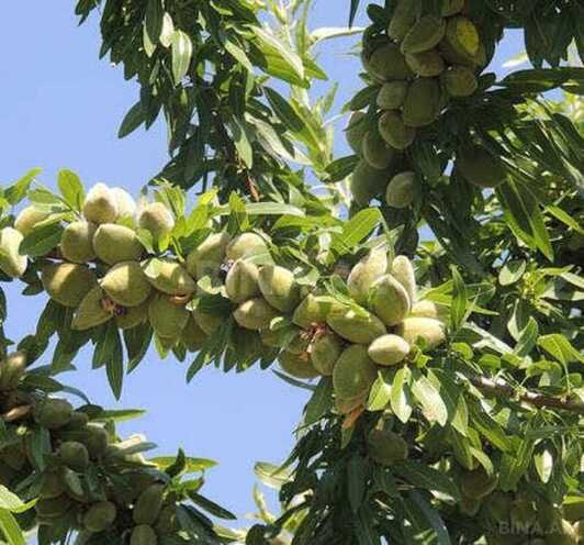 Продаётся  участок 1 300 сот, photo 6 from 10