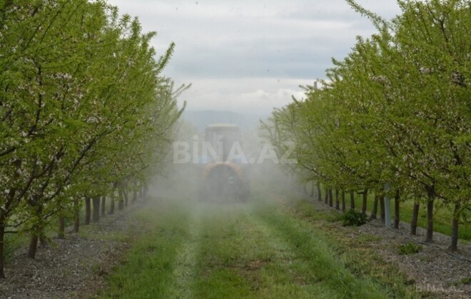 Продаётся  участок 1 300 сот, photo 9 from 10