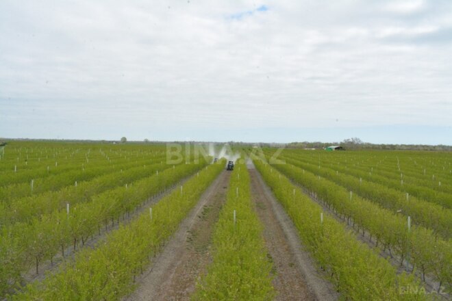 Продаётся  участок 1 300 сот, photo 3 from 10