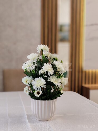 Satılır 2 otaqlı yeni tikili 45 m², Avtovağzal m., photo 8 from 23