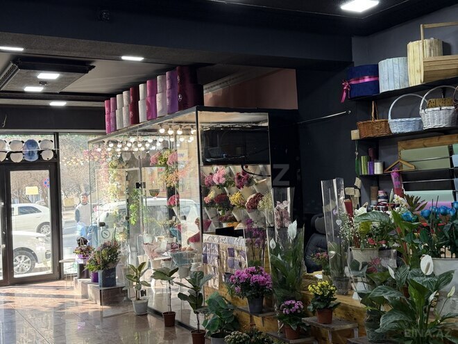 Продаётся  объект 113 м², м. Гянджлик, photo 5 from 11