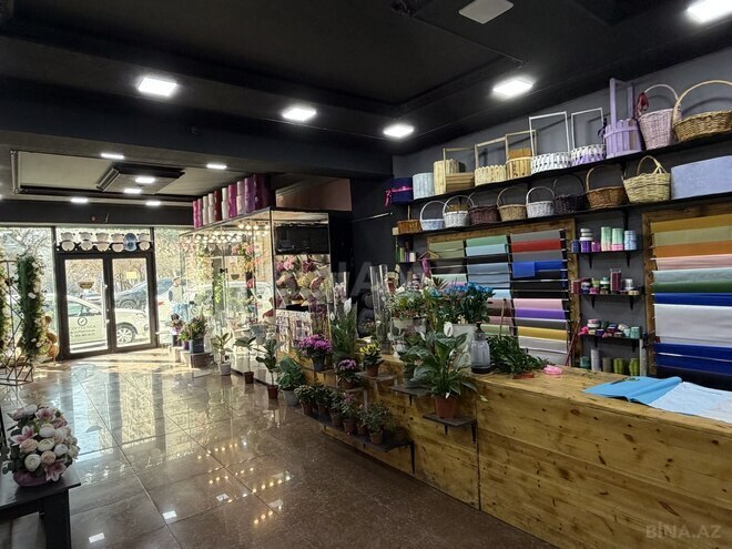 Продаётся  объект 113 м², м. Гянджлик, photo 3 from 11