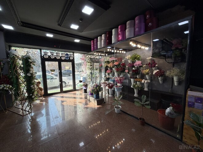 Продаётся  объект 113 м², м. Гянджлик, photo 8 from 11