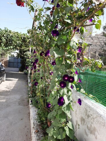 Продаётся 6-комн. дом/дача 190 м², пос. Гала, photo 11 from 32