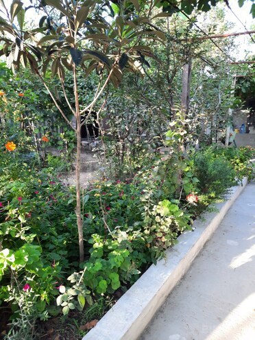 Продаётся 6-комн. дом/дача 190 м², пос. Гала, photo 27 from 32