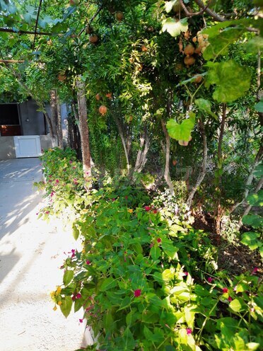 Продаётся 6-комн. дом/дача 190 м², пос. Гала, photo 28 from 32