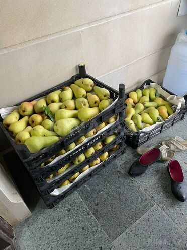 Продаётся 6-комн. дом/дача 460 м², photo 30 from 32