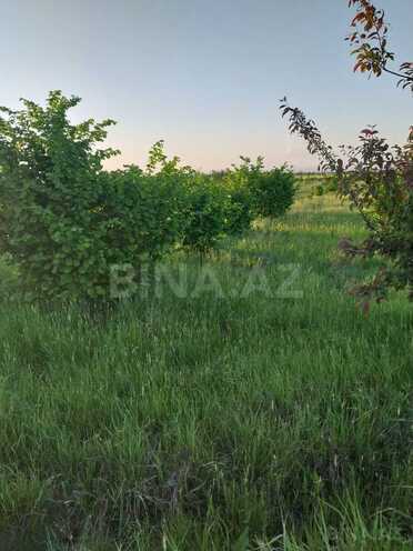 Satılır  torpaq 121 sot, photo 5 from 13