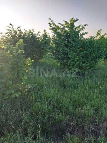 Satılır  torpaq 121 sot, photo 7 from 13