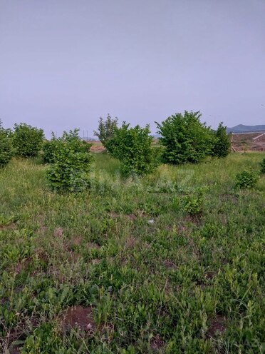 Satılır  torpaq 121 sot, photo 11 from 13