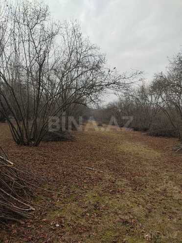 Продаётся  участок 44 сот, photo 5 from 7