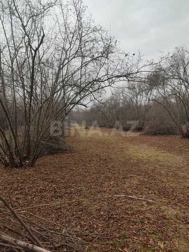 Продаётся  участок 44 сот, photo 3 from 7