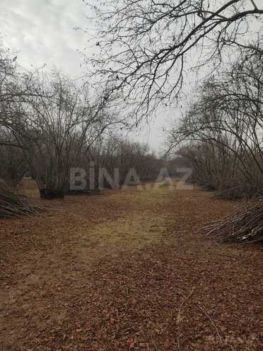 Продаётся  участок 44 сот, photo 4 from 7