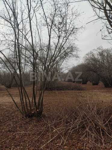 Продаётся  участок 44 сот, photo 6 from 7