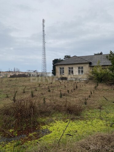 Продаётся  участок 380 сот, Астара р., photo 12 from 27