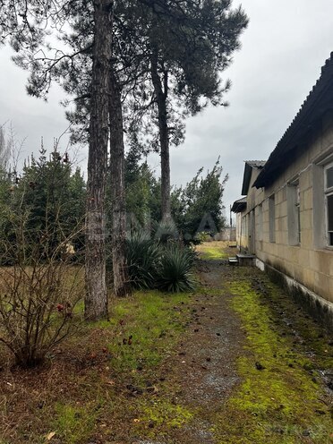 Продаётся  участок 380 сот, Астара р., photo 18 from 27