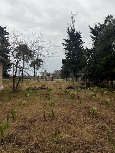 Продаётся  участок 380 сот, Астара р., photo 21 from 27