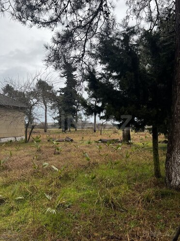 Продаётся  участок 380 сот, Астара р., photo 19 from 27