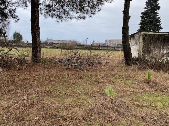 Продаётся  участок 380 сот, Астара р., photo 20 from 27