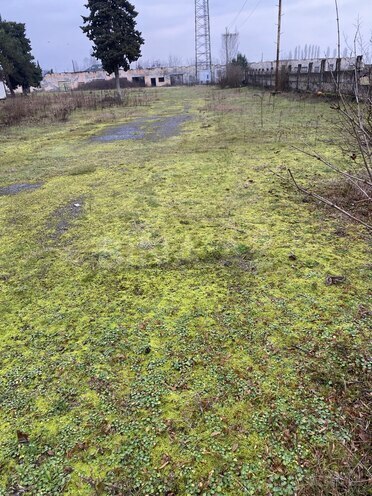 Продаётся  участок 380 сот, Астара р., photo 10 from 27