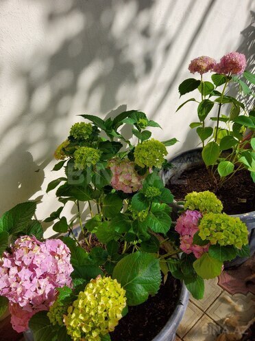 Продаётся 6-комн. дом/дача 160 м², м. Автовокзал, photo 10 from 11