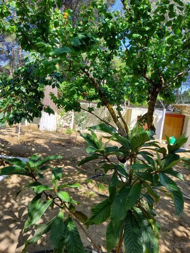 Продаётся 6-комн. дом/дача 160 м², м. Автовокзал, photo 9 from 11