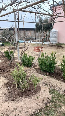 Сдаётся 5-комн. дом/дача 200 м², пос. Гала, photo 4 from 18