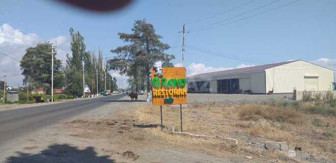 Продаётся  участок 12 сот, photo 3 from 6