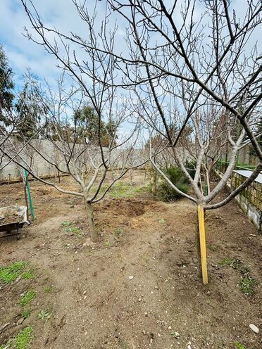 Satılır 9 otaqlı həyət evi/bağ evi 300 m², Pirallahı r., photo 15 from 17