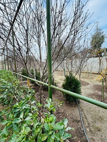 Satılır 9 otaqlı həyət evi/bağ evi 300 m², Pirallahı r., photo 16 from 17