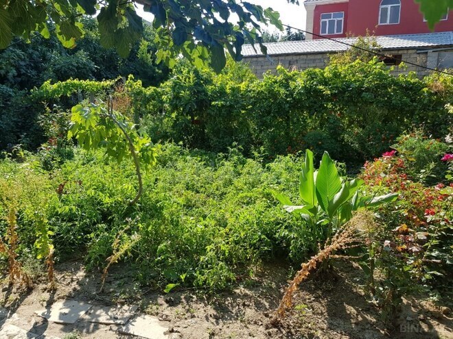 Продаётся  участок 7 сот, пос. Сулутепе, photo 3 from 7