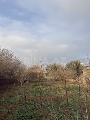 Продаётся  участок 10 сот, пос. Бина, photo 6 from 8