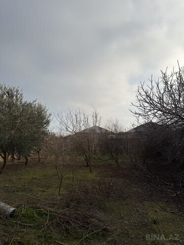 Продаётся  участок 10 сот, пос. Бина, photo 3 from 8