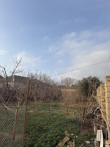 Продаётся  участок 10 сот, пос. Бина, photo 7 from 8